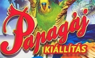 Papagáj kiállítás